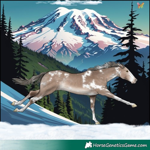 Horse Color:White Spotted Liver Red Dun Mushroom Sabino Rabicano 
