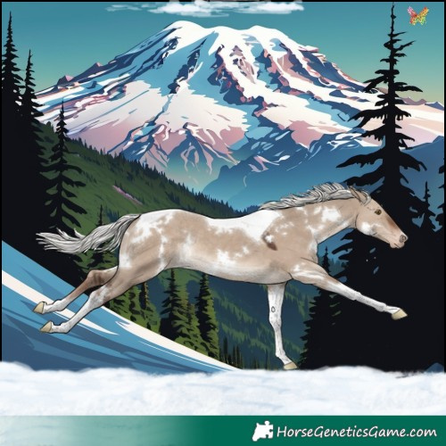Horse Color:White Spotted Liver Red Dun Mushroom Tobiano Appaloosa Rabicano 