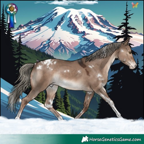 Horse Color:White Spotted Liver Red Dun Mushroom Sabino Appaloosa Rabicano