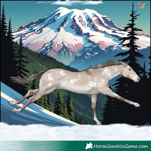 Horse Color:White Spotted Liver Red Dun Mushroom Sabino Rabicano 