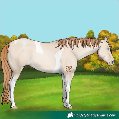 Horse Color:Smoky Grullo Pearl Tobiano