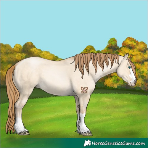 Horse Color:Buckskin Pearl Dun 