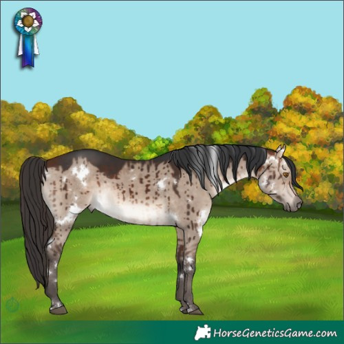 Horse Color:White Spotted Bay Dun Mushroom Rabicano Brindle