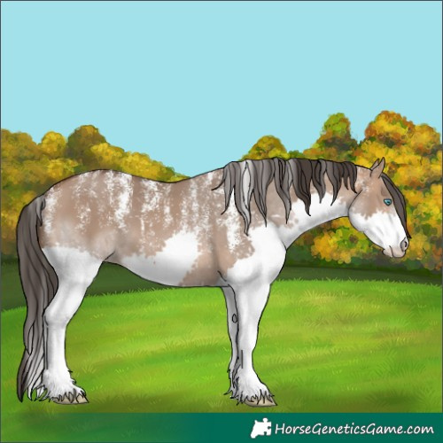 Horse Color:Powder White Bay Dun Splash