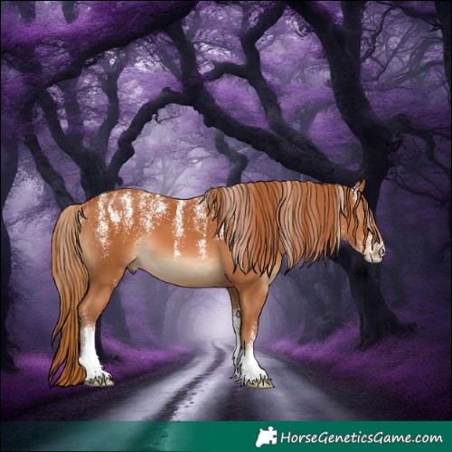 Horse Color:Powder White Chestnut
