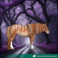 Horse Color:Powder White Chestnut