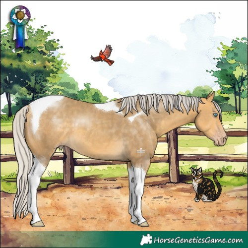 Horse Color:Silver Sable Cream Champagne Tobiano