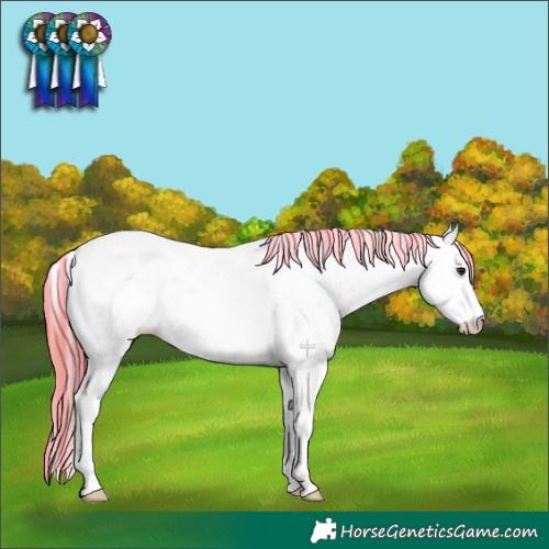 Horse Color:Painted Brown Dun Sabino Appaloosa