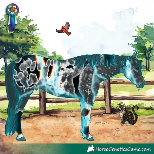 Horse Color:Gray Thunderstruck Black Ice Tobiano Appaloosa Rabicano
