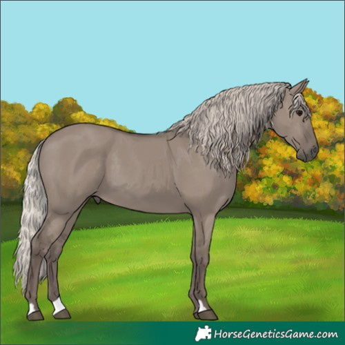Horse Color:Silver Grullo