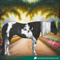 Horse Color:Black Tobiano 