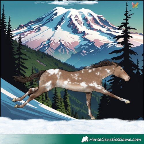 Horse Color:White Spotted Liver Red Dun Appaloosa