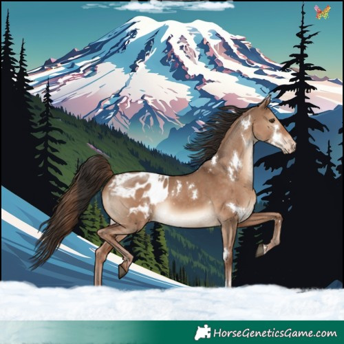 Horse Color:White Spotted Liver Red Dun Appaloosa Rabicano