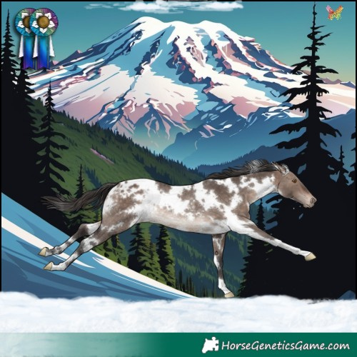 Horse Color:White Spotted Brown Dun Mushroom Appaloosa Rabicano