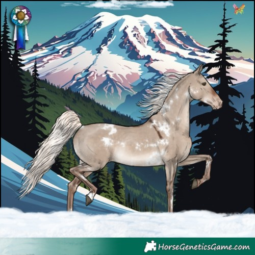 Horse Color:White Spotted Liver Red Dun Mushroom Appaloosa Rabicano 