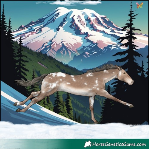 Horse Color:White Spotted Liver Red Dun Mushroom Appaloosa Rabicano