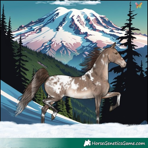 Horse Color:White Spotted Brown Dun Mushroom Appaloosa Rabicano 