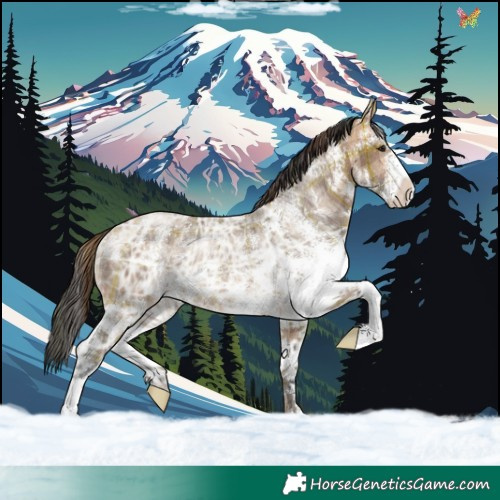 Horse Color:Plaid  White Spotted Bay Ice Dun Rabicano 