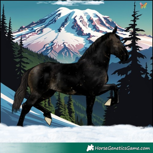 Horse Color:Void White Spotted Buckskin 