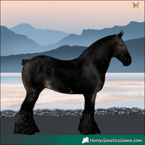 Horse Color:Void White Spotted Buckskin