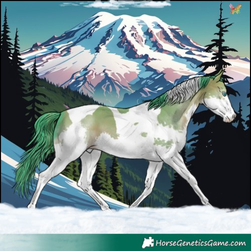 Horse Color:Watercolor Sable Champagne Splash Tobiano 