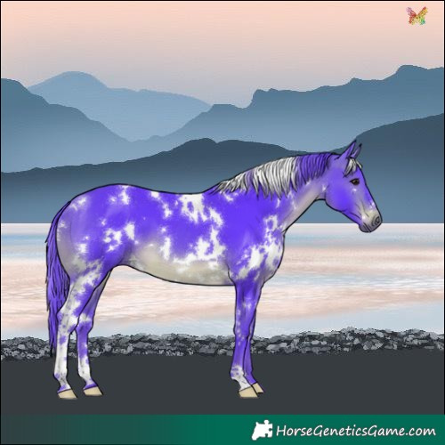 Horse Color:Watercolor White Spotted Brown