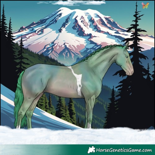 Horse Color:Watercolor Sable Champagne Tobiano