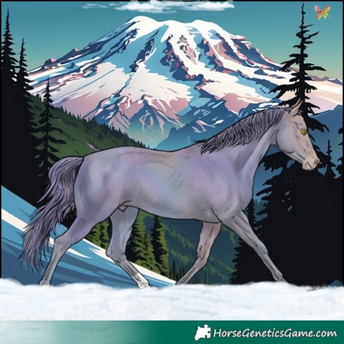 Horse Color:Watercolor Sable Champagne