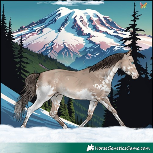 Horse Color:Sable Champagne Splash