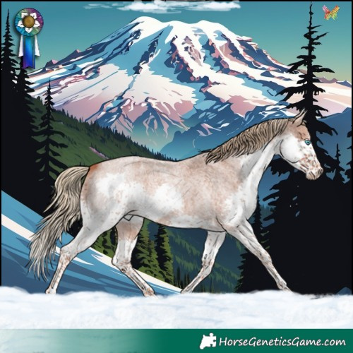Horse Color:Red Roan Splash 