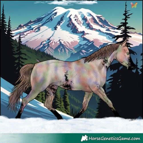 Horse Color:Void Nacre Brown Pearl Dun Sabino 
