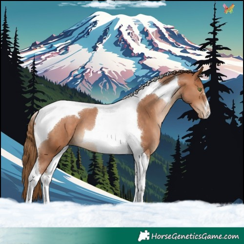 Horse Color:Brown Pearl Tobiano