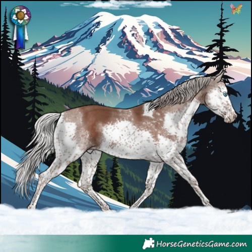 Horse Color:Silver Black Splash Tobiano