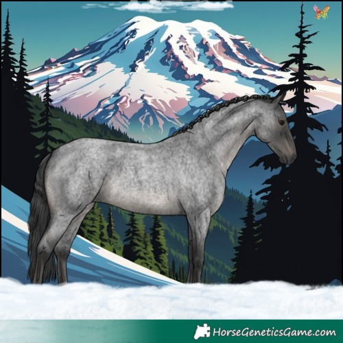 Horse Color:Blue Roan