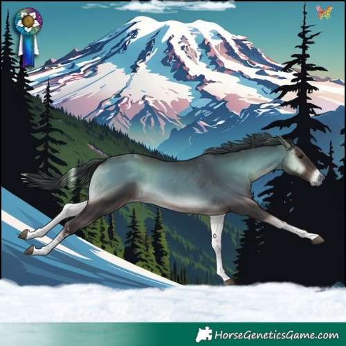 Horse Color:Blue Onyx Tobiano