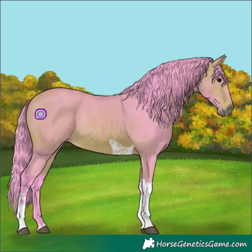 Horse Color:Watercolor Bay Tobiano Rabicano