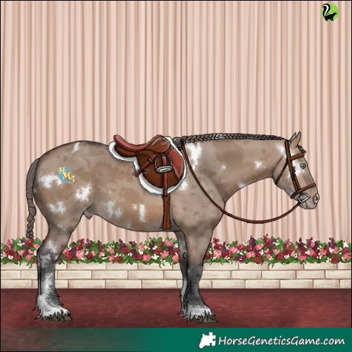 Horse Color:White Spotted Brown Dun Merle Tobiano Varnish