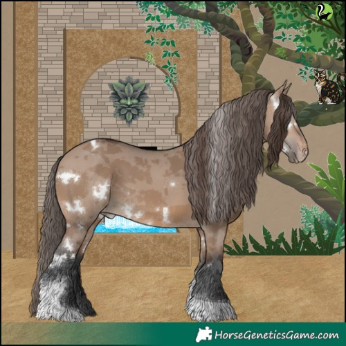 Horse Color:White Spotted Brown Dun Merle Tobiano Appaloosa 