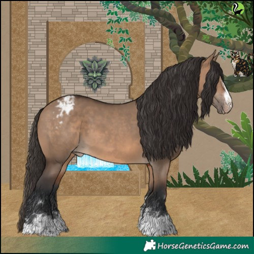 Horse Color:Brown Dun Varnish