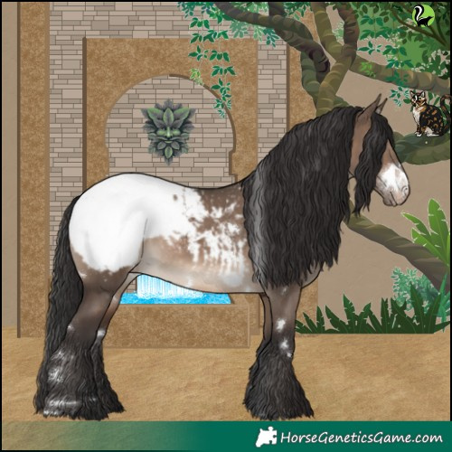 Horse Color:White Spotted Brown Dun Appaloosa 