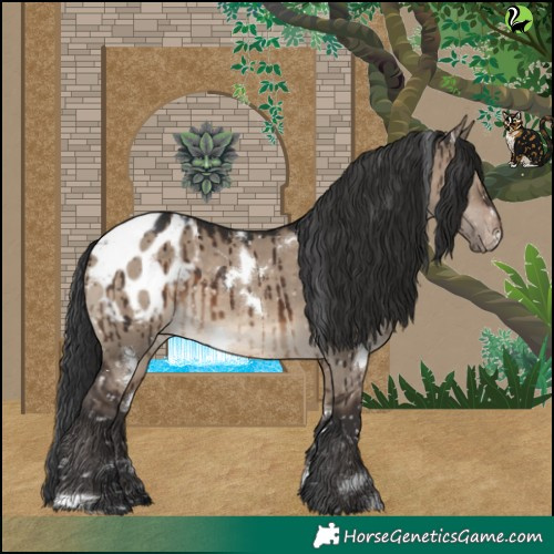 Horse Color:White Spotted Brown Dun Appaloosa Brindle