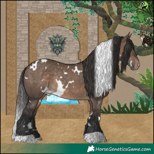 Horse Color:White Spotted Brown Dun Appaloosa Rabicano