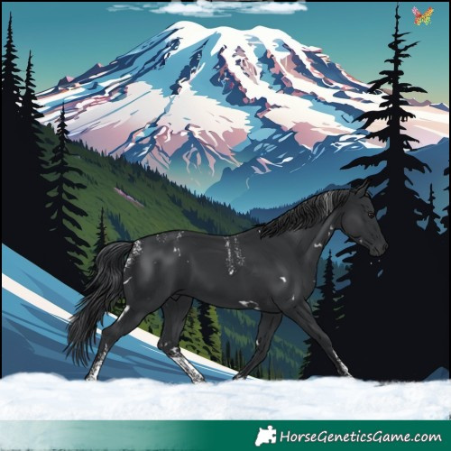 Horse Color:Powder White White Spotted Black