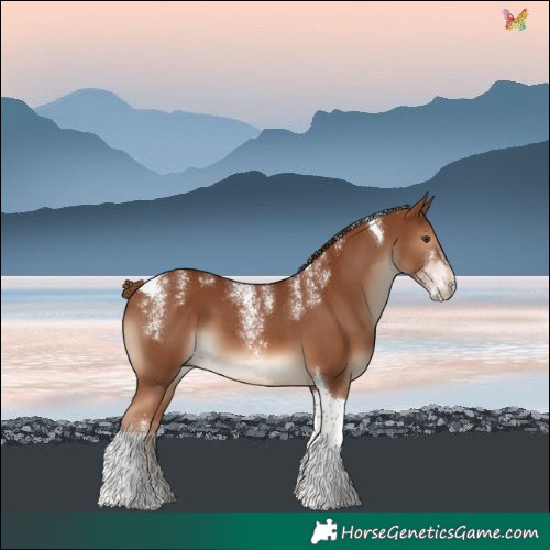 Horse Color:Powder White Chestnut Tobiano