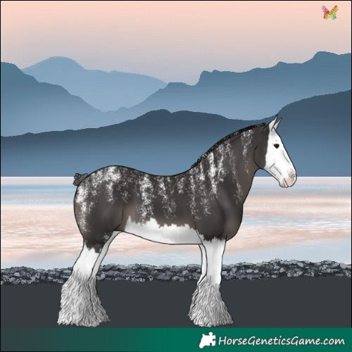 Horse Color:Powder White Smoky Black Splash