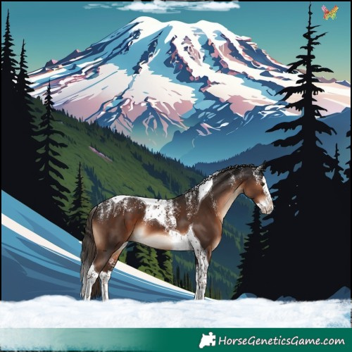 Horse Color:Powder White Liver Chestnut Splash Tobiano 