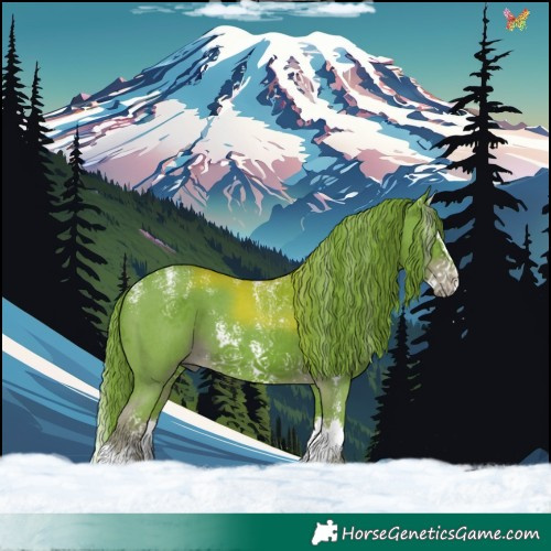 Horse Color:Powder White Watercolor Liver Chestnut Sabino Splash