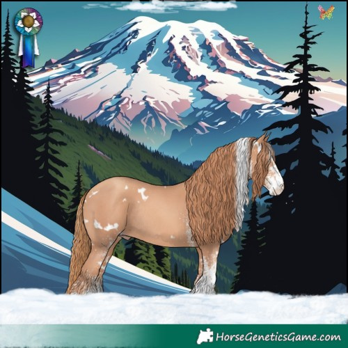 Horse Color:White Spotted Gold Champagne Rabicano