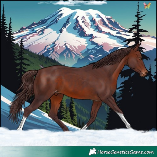 Horse Color:Chocolate Brown Tobiano Skewed LP Spotted