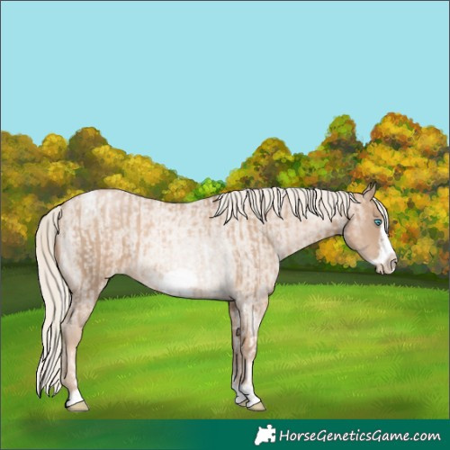 Horse Color:Chocolate Palomino Pearl Tobiano Frame and Chocolate Palomino Roan Pearl Frame